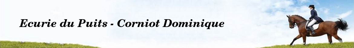 Ecurie du Puits - Corniot Dominique